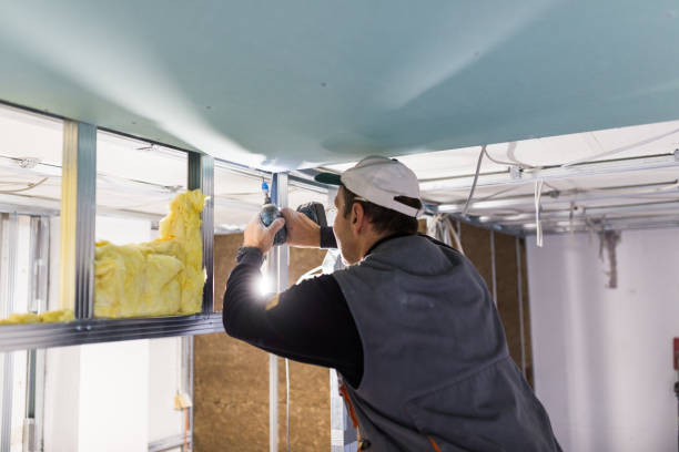Best Insulation Maintenance and Repair in Parker, TX